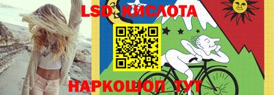 шишки Бийск