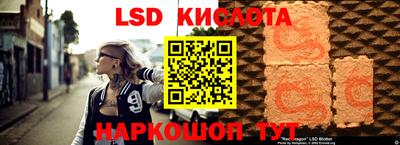 шишки Бийск