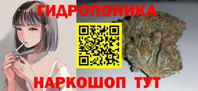 шишки Бийск