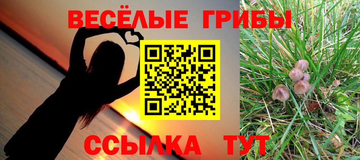 где можно купить   Галлюциногенные грибы мицелий  Вход с VPN  Каменка 